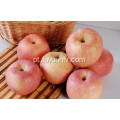 2018 New Fresh Qinguan maçã com alta qualidade